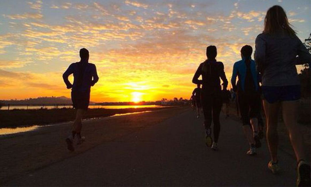 秀山计步器问答案例